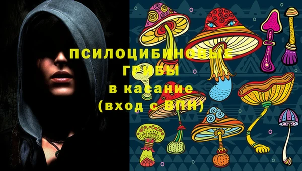 кокаин Гусь-Хрустальный